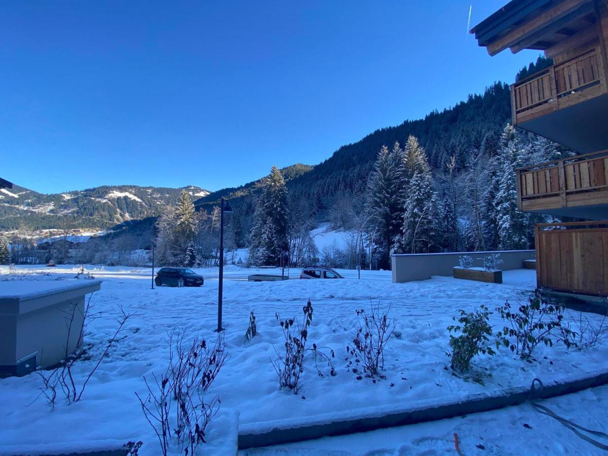 Lumineux Et Spacieux Appartement Contemporain Dans Une Residence Recente Et Paisible A Chatel - Fr-1-693-48 Экстерьер фото